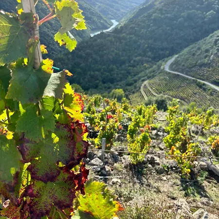 Carballo Alenza Apartamento